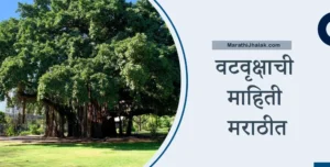 banyan tree information in marathi