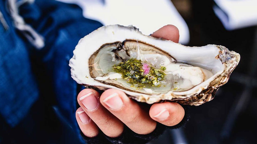 oyster information in marathi