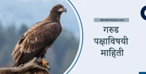 eagle information in marathi